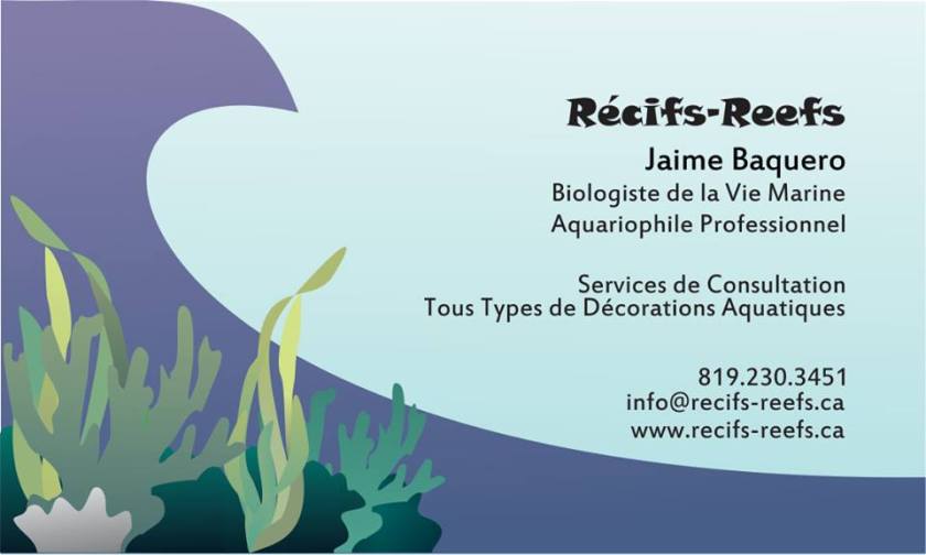 Récif-Reef French Business Card